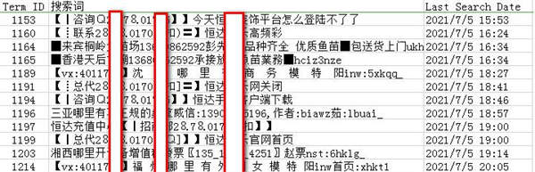 亲身经历：网站被站内恶意搜索和各种攻击 SEO优化 建站教程 第4张