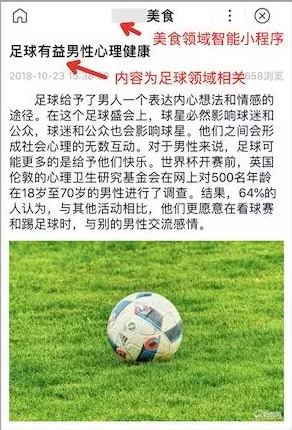 百度飓风算法打击对象