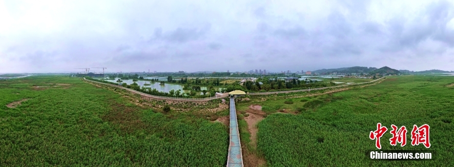 资料图为航拍闽江河口湿地。（无人机照片） <a target='_blank' href='/'>中新社</a>记者 王东明 摄