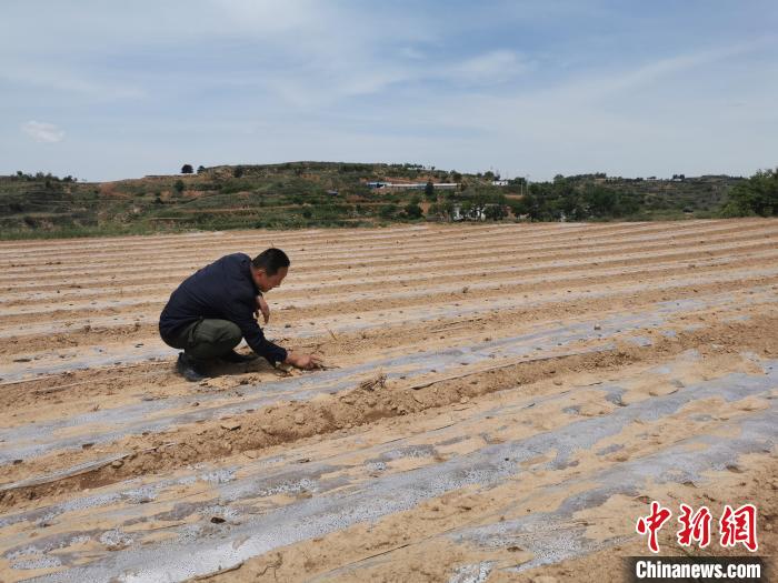 韩登科是武乡县种粮大户标兵，带动了当地周边30多个自然村、500余户农户增收。　高瑞峰 摄