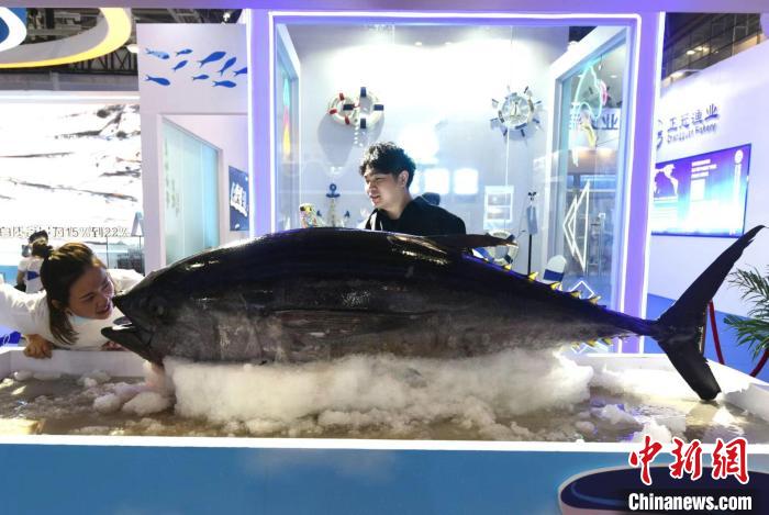 2022海峡(福州)渔业周·中国(福州)国际渔业博览会海产品引人瞩目。　刘文标 摄