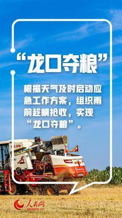 手里的饭，更香了！