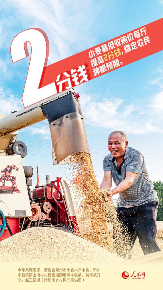 大国“粮”策|夏粮丰收有“数” 政策支持有“方”