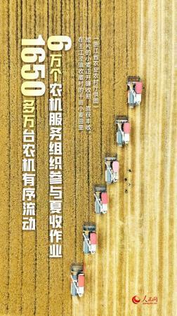 手里的饭，更香了！