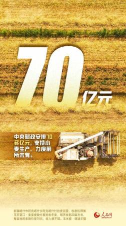 手里的饭，更香了！