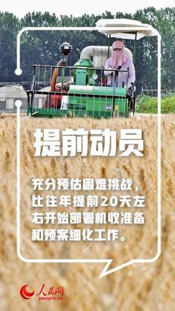 手里的饭，更香了！