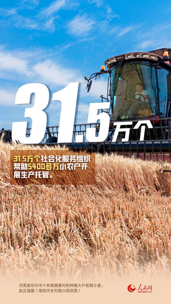 大国“粮”策|夏粮丰收有“数” 政策支持有“方”