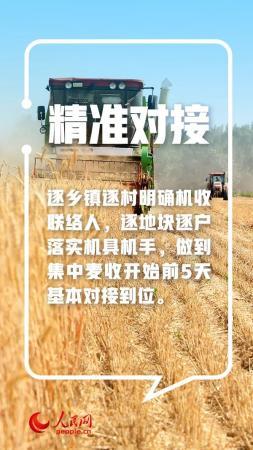 手里的饭，更香了！