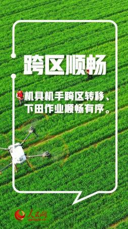 手里的饭，更香了！