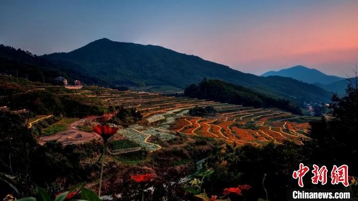 杭州临安梯田花海景观。 临安区文化和广电旅游体育局提供 杭州临安梯田花海景观。 临安区文化和广电旅游体育局提供