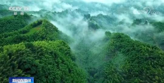 全国生态质量指数纳入生物多样性指标 促进保护原有物种