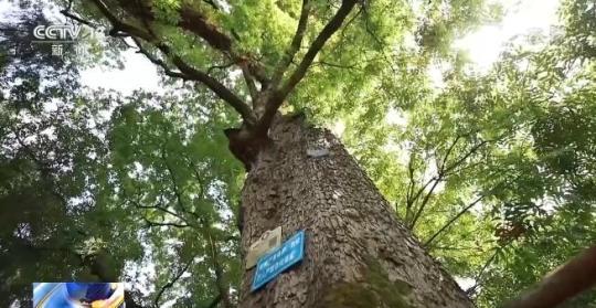 全国生态质量指数纳入生物多样性指标 促进保护原有物种