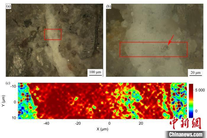 天山哈密翼龙蛋壳的拉曼光谱(面扫描)。　汪筱林团队 供图